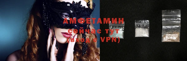 ГАЛЛЮЦИНОГЕННЫЕ ГРИБЫ Михайлов